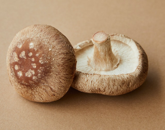 Quick & Easy Methods for Growing Mushrooms in Your Own Backyard
